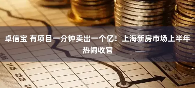 卓信宝 有项目一分钟卖出一个亿！上海新房市场上半年热闹收官