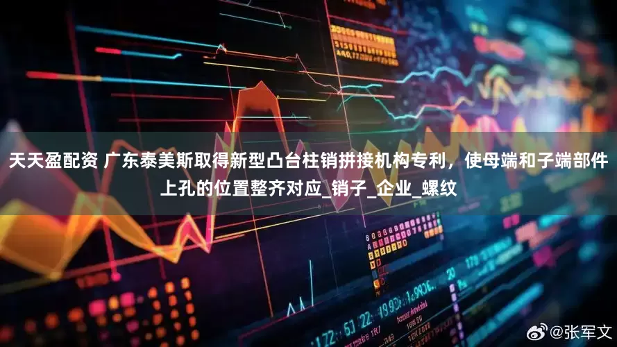 天天盈配资 广东泰美斯取得新型凸台柱销拼接机构专利，使母端和子端部件上孔的位置整齐对应_销子_企业_螺纹