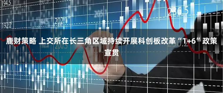 鹿财策略 上交所在长三角区域持续开展科创板改革“1+6”政策宣贯