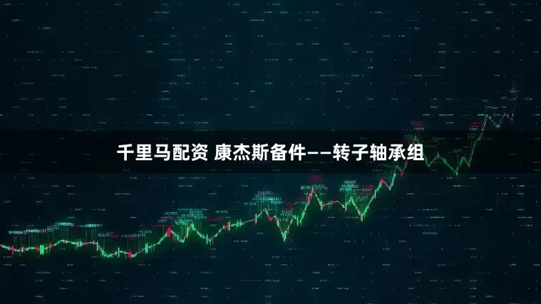 千里马配资 康杰斯备件——转子轴承组